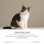 Feline Calm Drops - Cat Sleep Aid for Relaxation | Natural Liquid with 60ml Bottle, Stress Relief Formula, Travel Home Health Support, Kittens, Small, Medium, Large Breed, Care - Image 9