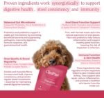 Digestion Powder for Dogs – Probiotic & Fibre Supplement for Gut Health, Firm Stools & Anal Gland Support – Natural, Filler-Free Formula – Up to 120 Servings - Image 5