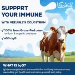 Colostrum Powder 3000MG, with 60% Natural IgG (Immunoglobulins), Grass Fed Cow Colostrum, Non-GMO, Unflavored 50 Servings - Image 3
