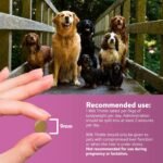 Dorwest Milk Thistle Tablets for Dogs and Cats, 200 Tablets, Supports Liver Function, Antioxidant for Dogs, Immune System Heath, Natural Supplement - Image 5