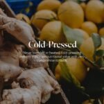 PRESS Healthfoods - Ginger & Immunity Shot Variety (12x100ml) | Natural Energy & Detox Drink | Fresh Ginger, Turmeric, Apple Cider Vinegar, Cayenne | Gluten-Free | Gut Health & Immunity Support - Image 4