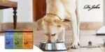 Dr John Wheat-Free Hypoallergenic Dry Dog Food - Lamb with Rice Dog Food 12.5kg - Complete Nutrition for Adult and Senior Dogs with Sensitive Digestion - Image 3