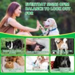 Probiotics for Dogs, 120 Natural Soft Chews with Pumpkin & Flaxseed | Pre & Probiotic Blend to Support Digestive Function, Gut Flora Balance, Immune Health & Everyday Vitality - Image 8