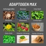 Adaptogen Max, Premium Quality, Unique Blend of 10 Powerful Adaptogens, 60 Capsules, Stress Relief, Energy Booster, Endurance & Stamina, 100% Natural, No Nasty Additives - Image 5