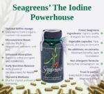 Iodine+ Organic Seaweed Supplement, 2 Month Supply, 390mcg Natural Iodine from Seaweed, Vegan, Plant-Based, Thyroid & Radiation Support, 60 Capsules - Image 3