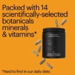 Immunity Formulation (60 Capsules) - Vegan Capsules with Reishi, Elderberry, Amla & Vitamins C, D & Zinc - Science-Backed Immune Support & Antioxidant Defence - Image 6