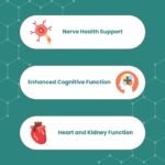 Vinco Benfotiamine 300mg - Vitamin B1 Thiamine High Strength for Heart & Kidney Support, 120 Vegan Capsules, Enhanced Cognitive Function, Energy & Antioxidants, Gluten & Allergen-Free - Made in UK - Image 5