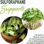 20MG Sulforaphane | from Broccoli Sprouts & Seed Extract | 565MG Microbeadlet Complex | 26MG of Glucoraphanin + Myrosinase | Complete NRF2 Activator, Antioxidant & Cellular Health Supplement | 60 Ct. - Image 3