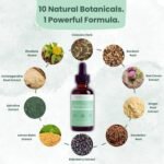 Dropology Lymph-Flo | 10-in-1 Herbal Lymphatic Support Drops | Helps Maintain Fluid Balance & Digestive Comfort | Adaptogenic Wellness Blend | 60ml, 30 Servings - Image 4