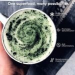 Aromacraft Spirulina Powder – Premium, Ethically Sourced Superfood, Vegan, Non-GMO, Gluten-Free, 200g Resealable Pack - Image 7