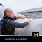 NAF Five Star Metazone Liquid 1L – Natural Anti-Inflammatory Support for Horses – With Turmeric, MSM & Herbal Extracts – Promotes Comfort, Mobility & Recovery – Competition Safe - Image 7