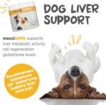 maxxipaws maxxiSAMe Advanced SAM-e Powder Supplement - Liver, Cognitive & Joint Support for Dogs, 150g - Image 3