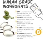 maxxipaws maxxiSAMe Advanced SAM-e Powder Supplement - Liver, Cognitive & Joint Support for Dogs, 150g - Image 5