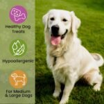 Petto Plant-Based Hypoallergenic Dog Treats 100g | Healthy & Meat-Free Training Bites | Human Grade & Bakery Made with Carrots, Coconut Oil & Turmeric - Image 3