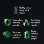 Noocube NAD+ Supplement for Age-Defying Defenses – Nads+ Plus Anti-Aging Formula, NAD Supports Cognitive Function, Increases Energy, Enhances Brain Function, and Promotes Wellness for Men & Women - Image 4