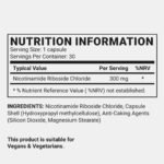 Noocube NAD+ Supplement for Age-Defying Defenses – Nads+ Plus Anti-Aging Formula, NAD Supports Cognitive Function, Increases Energy, Enhances Brain Function, and Promotes Wellness for Men & Women - Image 5