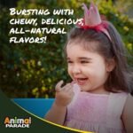 NaturesPlus Animal Parade Kids Gummies - All Natural Gummies Multivitamin for Children - Gluten Free, Vegetarian, Non GMO - 90 Gummies - Image 6