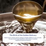 INABA Dashi Delights Delicate Flakes: Chicken with Tuna & Scallop Recipe (1 x 40g) / Grain-Free, Rich in Protein, Natural Ingredients, Delicious and Healthy, Wet Cat Food - Image 4