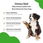 Pet Wellbeing Urinary Gold for Dogs - Supports Urinary Tract Health, Normal Frequency, Healthy Immune Response, Stoneroot, Hydrangea - Veterinarian-Formulated Herbal Supplement 2 oz (59 ml) - Image 4
