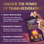 Trans-Resveratrol 500mg | 99% Pure | High Absorption with Quercetin, Vitamin C & BioPerine® | Longevity Supplement | Antioxidant & Anti-Aging Support | Heart & Cellular Health | 60 Capsules - Image 5