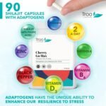 Troo Health Care Shilajit Plus - Advanced Adaptogen Complex with Ashwagandha, Rhodiola & Zinc for Energy, Mood, and Immune Support - 90 Capsules - Image 4
