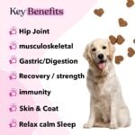 PETSY™ Dog Vitamins & Supplements 20-in-1 Essential Multivitamins, B2,B3,B6,B7,B12, Vit C, Folic Acid, Biotin, Glucosamine, Chondroitin, Wild Alaskan Salmon oil, Hemp Seed oil, Probiotics Blend Treats - Image 3