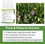 Jatamansi Capsules 500 mg | Pure Nardostachys Jatamansi Extract | Herbal Calming & Relaxation Support | Ayurvedic Wellness Supplement | 60 Vegetarian Capsules | Pack of 1 - Image 6