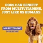 PEDIGREE Multivitamins Digestion 30 Soft Dog Chews 180 g - Image 4