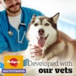 PEDIGREE Multivitamins Digestion 30 Soft Dog Chews 180 g - Image 6