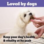 PEDIGREE Multivitamins Digestion 30 Soft Dog Chews 180 g - Image 7