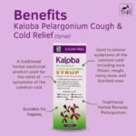 Schwabe Pharma - Kaloba Cough & Cold Relief Syrup - Pelargonium Sidoides Root Extract - Traditionally Used for Common Cold, Runny Nose, Sore Throat, Blocked Nose, Cough - Sugar Free – 100ml - Image 4