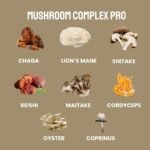 Mushroom Complex Pro | 8-Mushroom Supplement 120 Capsules | Chaga, Shitake, Lions Mane, Reishi, Maitake, Cordyceps | Vegan, Dual-Extracted, GMP-Certified | Immune, Energy & Focus Support - Image 6