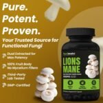 100% Real Mushroom Lions Mane Capsules Supplement Sourced from Authentic Farms Support Brain Health Promote Cognitive Function for Men & Women - 60 Capsules - Image 9