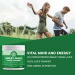 Vimergy Barley Grass Juice Powder – Barley Grass Juice Super Greens – Vegan Supplement – Formulated Without Anti-Caking Agents, fillers, Flavors, or Sugar– Non-GMO & Gluten-Free (500g) - Image 3