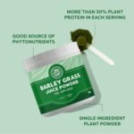 Vimergy Barley Grass Juice Powder – Barley Grass Juice Super Greens – Vegan Supplement – Formulated Without Anti-Caking Agents, fillers, Flavors, or Sugar– Non-GMO & Gluten-Free (500g) - Image 4