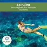 Nutrex Hawaii, Pure Hawaiian Spirulina, 1,000 mg, 180 Vegan Tablets, Gluten-Free, SOYA-Free, Vegetarian - Image 3