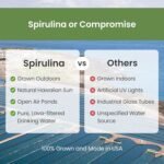 Nutrex Hawaii, Pure Hawaiian Spirulina, 1,000 mg, 180 Vegan Tablets, Gluten-Free, SOYA-Free, Vegetarian - Image 4