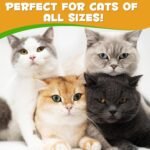 Cat Allergy Relief, Cat Itchy Skin Relief, Antihistamine for Cats, Cats Vitamins Support Skin, Liver Health, Aid Digestion, Immunity Boost, Seasonal Allergy for All Breeds & Sizes - 60ml - Image 4