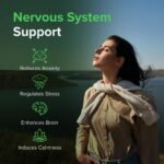 Rhodiola Rosea Extract 500mg, 240 Caps – Stress & Energy Support – Pure Ingredients, GMO & Gluten Free – GMP Certified Adaptogenic Herbal Supplement by Raw Powders - Image 3