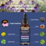 Lymph System Support Supplement - with Dandelion Extract, Zine, Burdock Powder - Reduce Lymph Swelling - Artichoke Lymphatic Drainage & Liver Repair Supplement - 60ml - Image 4