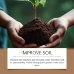 Soil Activator, Organic Soil Activator & Plant Fertilizer, Water Soluble Garden Booster, Natural Root Growth Enhancer,Improve Plant Growth Environment - Image 4