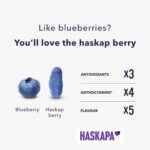 Haskapa | Organic Superberry Powder | Made with 100% Natural Vegan Whole Haskap Berries | High in Vitamin C + Antioxidants | Gluten Free | Superfood Made from Freeze Dried Berries | (30 Day Supply) - Image 4