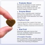 DigestiFibra Chews for Dogs - Probiotic & Prebiotic Soft Treats for Gut Health, Anal Gland Support, Digestion & Scooting Relief - 60 dog treats - Image 5
