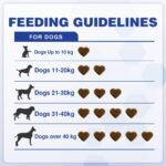 DigestiFibra Chews for Dogs - Probiotic & Prebiotic Soft Treats for Gut Health, Anal Gland Support, Digestion & Scooting Relief - 60 dog treats - Image 7