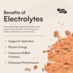 Sentra® Electrolytes Sachets Powder | 30 x Tropical Zero Sugar | For Rehydration & Recovery | Packed With Taurine, L Theanine Vitamin C B1, B3, B5, B12 Supplement Drink | Electrolyte Hydration Tablets - Image 6