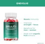 Shilajit Gummies, Ashwagandha & Chaga Mushroom Gummies - Reccomended Dosage - Energy, Focus & Vitality Support - Vegan, Sugar-Free - Natural Adaptogen - Performance Support - Image 4