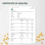 NFO Vitamin B Complex [90 Tablets] Norwegian Natural High-Dose Complex of Multivitamins of Group B in an Easily Accessible Form: B1, B2, B3, B5, B6, B9, B12 for Men and Women Made in Norway - Image 6