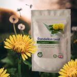 Dandelion Leaf Extract Tablets (Vegan) Natural Liver & Digestion Support, Detox (Pack of 60) - Image 4