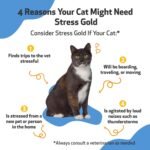 Pet Wellbeing Stress Gold for Cats - Occasional High Stress and Restlessness, Supports Relaxation, Travel, Vet Trips, Skullcap, Valerian - Veterinarian-Formulated Herbal Supplement 2 oz (59 ml) - Image 4