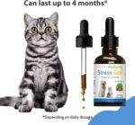 Pet Wellbeing Stress Gold for Cats - Occasional High Stress and Restlessness, Supports Relaxation, Travel, Vet Trips, Skullcap, Valerian - Veterinarian-Formulated Herbal Supplement 2 oz (59 ml) - Image 8